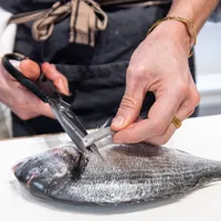 Apprenez à préparer et sublimer le poisson avec Simon